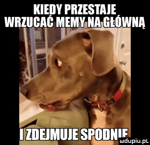 kiedy phzestaie iz iieimiiie d mduiuppl