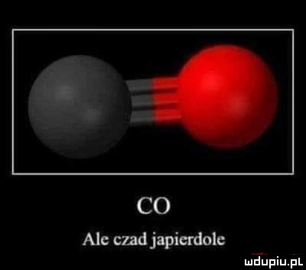 co ale czad japicrdole mjupiupl