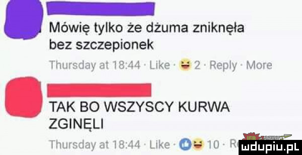 mówię tylko że dżuma zniknęła bez szczepionek ihumjuy n        lake.   repry more tak bo wszyscy kurwa zgineli thursday a v     luke      rmdﬁpi