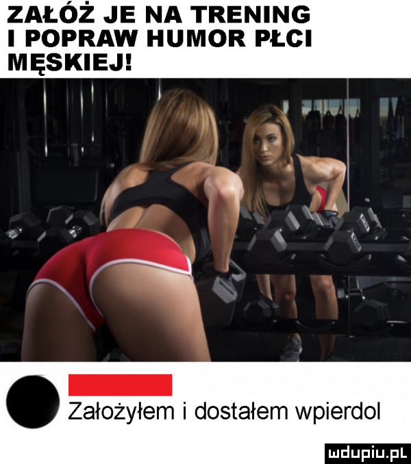 załóż je na trening popraw humor płci męskiej założyłem i dostałem wpierdol