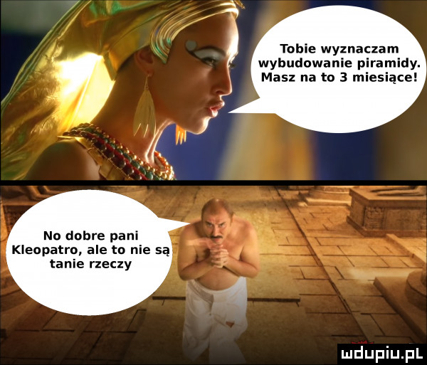 no dobre pani kleopatra. ale to nie są tanie rzeczy