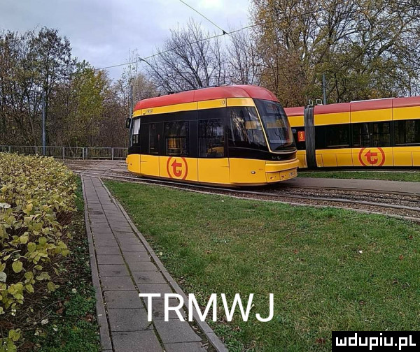 mﬂupiﬁpl