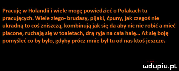 pracuję w holandii i wie e mogę powiedzieć a polakach m pracujących. wiele zlegof hrudasy pniaki ćpuny jak cleguś nie ukradnę lo coś mislclą kombinują jak się da aby nic nie robić a mieć płacone ruchają się w toaletach drą ryja na cala halę. aż się boję pomyśleć co by było gdyby próa mnie był tu od nas ktoś jeszcze. mlepiu ibl