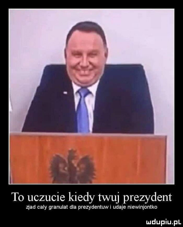 to uczucie kiedy tfuj prezydent zład caly granulat dla prezydentuww udaje mewinjonlko