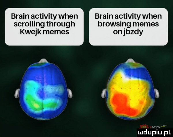 braun activity wien braun activity wien scrolling through browning memes kwejk memes on jazdy mduiﬁii ﬁipl