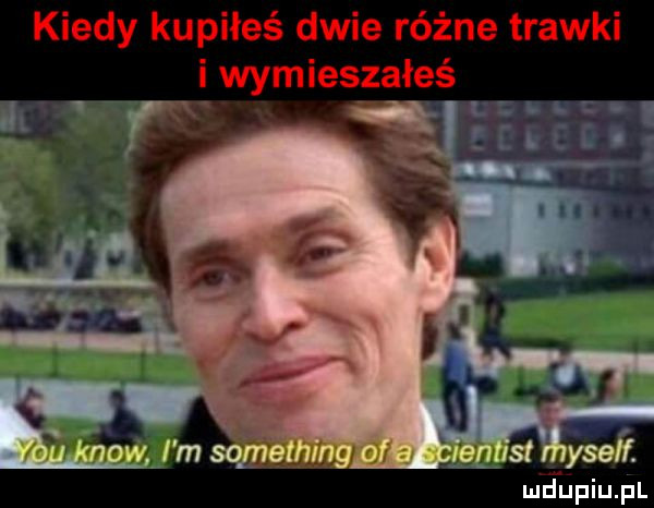 kiedy kupiłeś dwie różne trawki i wymieągaleś lud upqul