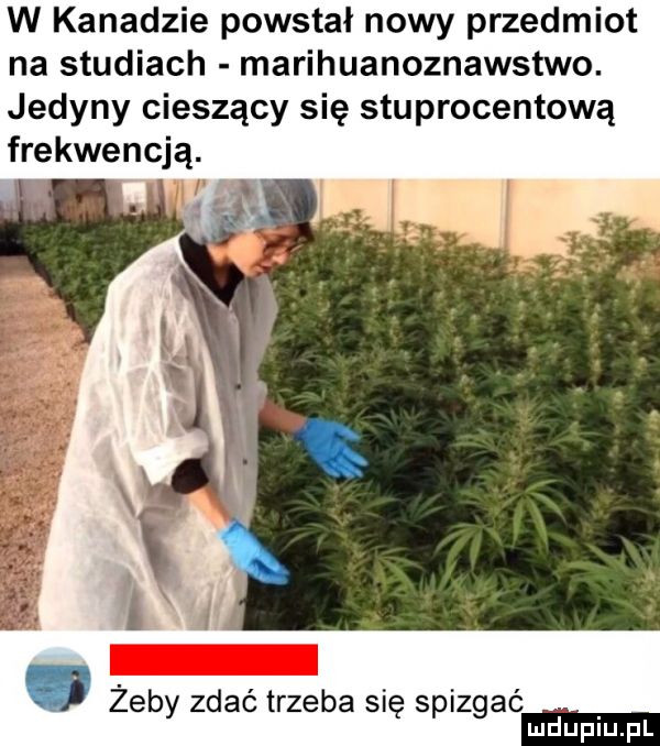 w kanadzie powstał nowy przedmiot na studiach marihuanoznawstwo. jedyny cieszący się stuprocentową frekwencją. abakankami żeby zdać trzeba się spizgać