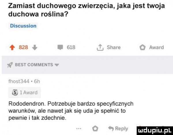 zamiast duchowego zwierzęcia jaka jest twoja duchowa roślina discussion nu     mr. aids mar crwwwvs rododendron. potrzebie bardzo specyﬁcznych warunków ale nawet jak się uda je speinif to pewnie i tak zdechnie. w ludupiu pl