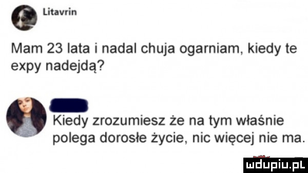 liuvlin mam    lata i nadal chuja ogarniam kiedy te expy nadejdą kiedy zrozumiesz ze na tym właśnie polega dorosłe życie nie więcej nie ma