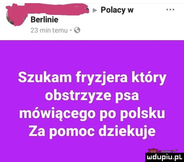 polacy w ber e z mm temu