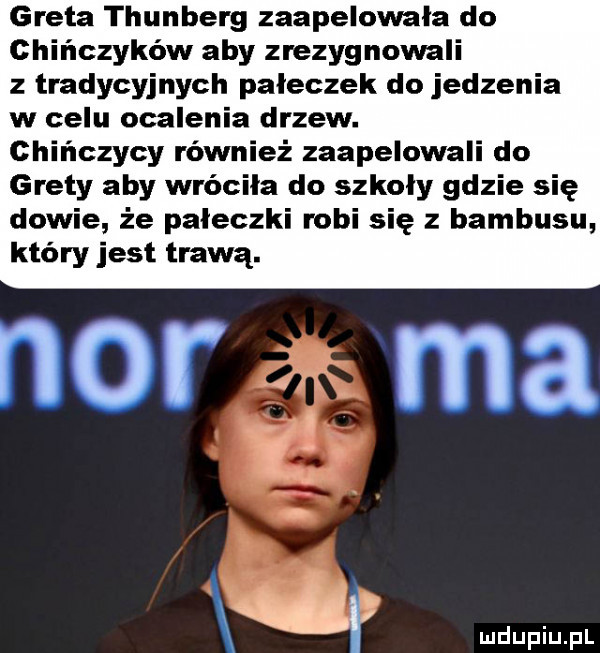 greta thunberg zaapelowała do chińczyków aby zrezygnowali z tradycyjnych pałeczek do jedzenia w celu ocalenia drzew. chińczycy również zaapelowali do grety aby wróciła do szkoly gdzie się dowie że pałeczki robi się z bambusu który jest trawą