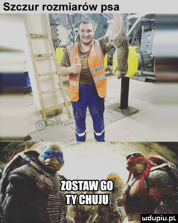 szczur rozmiarów psa