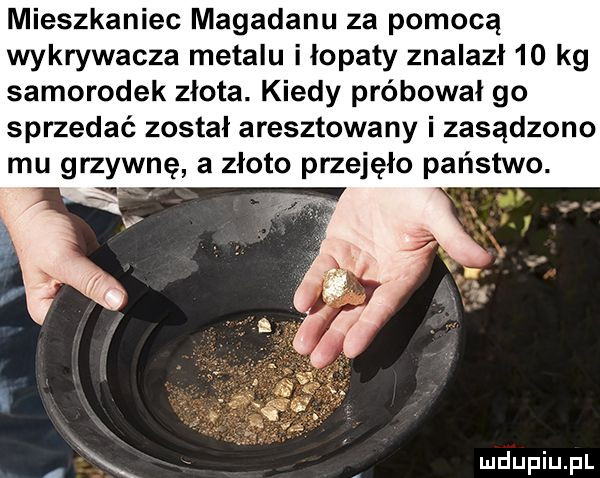 mieszkaniec magadanu za pomocą wykrywacza metalu i łopaty znalazł    kg samorodek złota. kiedy próbował go sprzedać został aresztowany i zasądzono mu grzywnę a złoto przejęło państwo. l