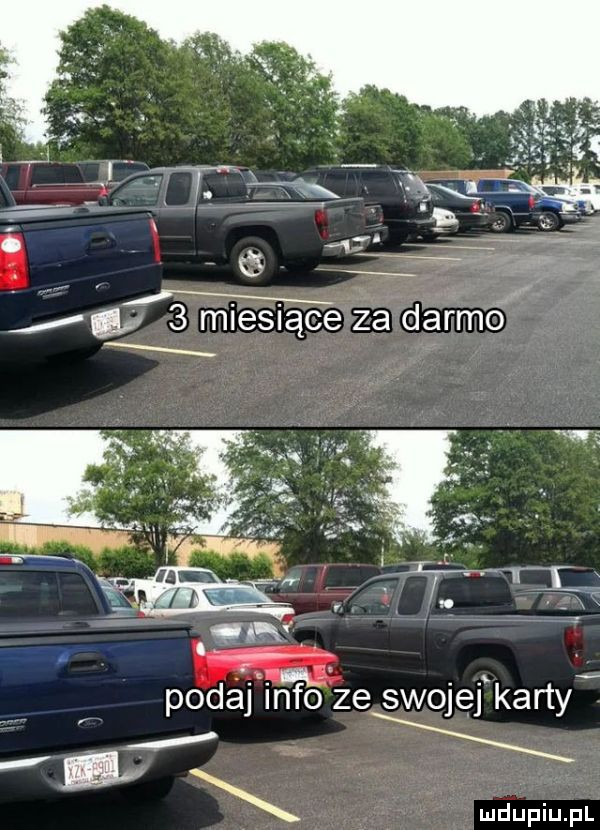 md q   m e  ące za darmo x polej infolze swojej karty ę