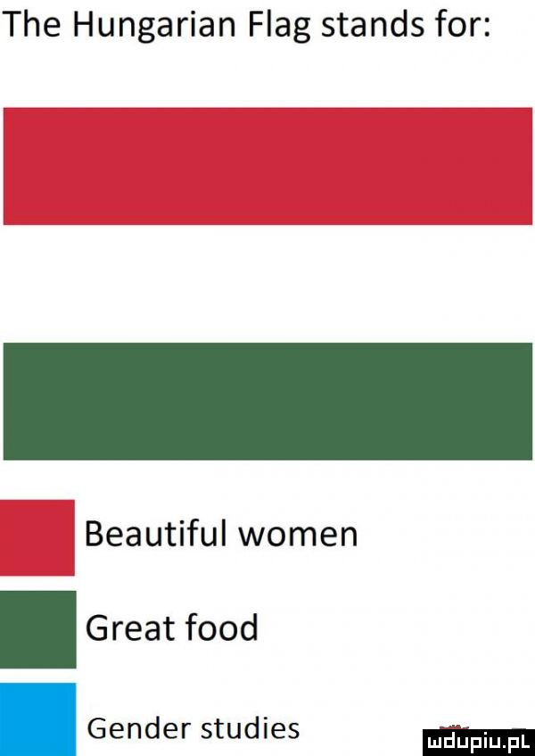 tee hungarian flag stands for beautiful wojen. great fond. gender studies