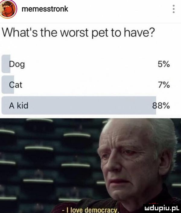 memesstronk k wiat s tee worst pet to hace dog   cat   a kad