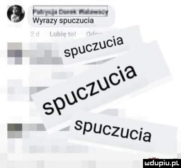 f i p  d icq hm wyrazy spuczucia