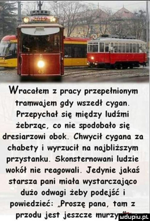 wracałem pracy przepełnionym tramwajem gdy wszedł cygan. przepychał się między ludźmi żebrząc co nie spodobało się dresiarzowi obok. chwycił cygana za chabety i wyrzucił na najbliższym przystanku. skonstemowani ludzie wokół nie reagowali. jedynie jakoś s orsza pani miała wysłarczojqco dużo odwagi żeby podejść i powiedzieć proszę pana tam z przodu jest jeszcze murzymn