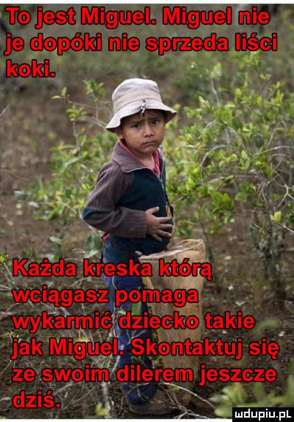 to jest miguel. miguel nie je dopóki nie sprzeda liści q. i z a. abakankami każda kreska kt ńrą wciągasz pomaga wykarmlc dziecko takie j ak miguel skontaktuj się ze sialm dilerem jeszcze