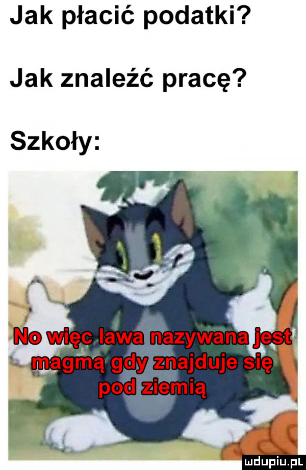 jak płacić podatki jak znaleźć pracę szkoły