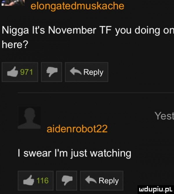 f elongatedmuskache nigga it s nowember tf y-u doing on here     repry yest aidenrobot   i swear i m just watching i     repry