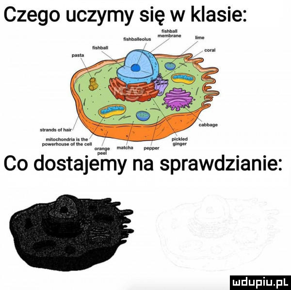 czego uczymy się w klasie co dostajemy na sprawdzianie ludu iu. l