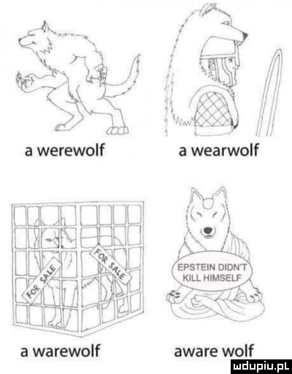 z a wearwolf a w uuu j     a warewolf awale wolf