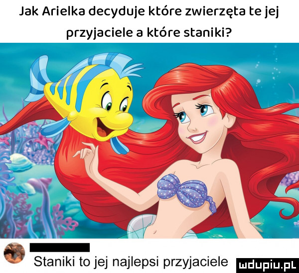 jak anielka decyduje które zwierzęta to jej przyjaciele a które staniki ń staniki to jej najlepsi przyjaciele