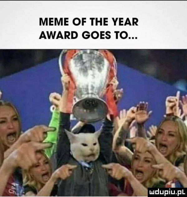 mime of tee year award goes to. v