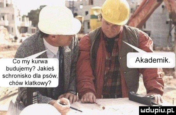 my kurwa budujemy jakieś schronisko dla psów. chów klatkowy