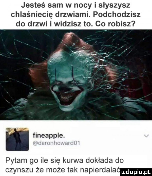 jesteś sam w nocy i słyszysz chlaśniecię drzwiami. podchodzisz do drzwi i widzisz to. co robisz   i.     r fineapple. pytam go ile się kurwa dokłada do czynszu że może tak napierdala mupmm