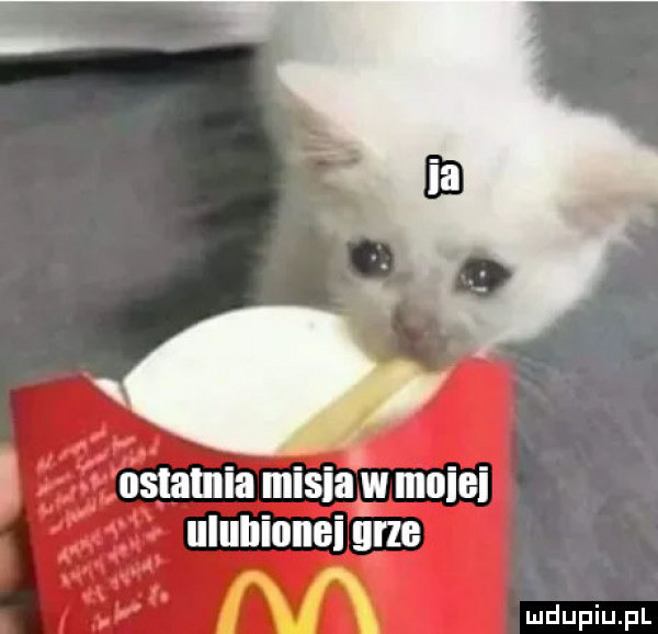 ostatnia misia w mini ulullionei grze