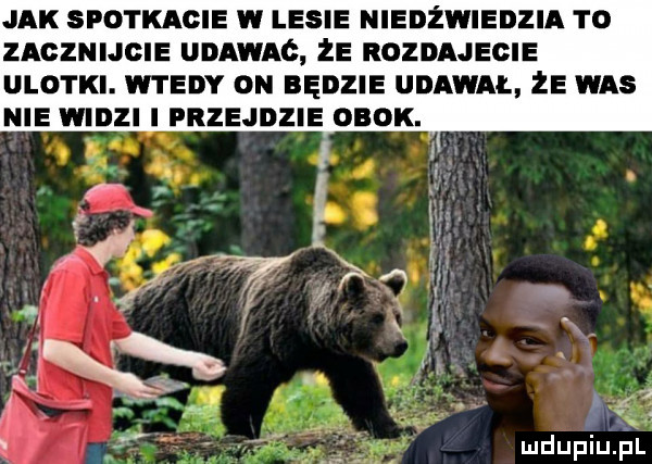 jak spotkacie w lesie niedźwiedzia to zagznijgie udawac że rozoajegie ulotki. wtedy on będzie udawal że was nie widzi i przejdzie obok