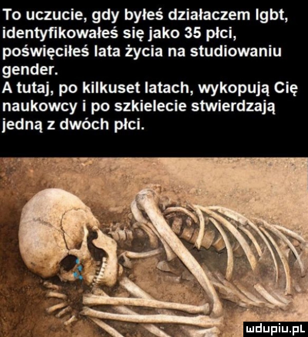to uczucie gdy byłeś działaczem igbt identyfikowałeś się jako    plci poświęciłeś lata życia na studiowaniu genden a tutaj po kilkuset latach wykopują cię naukowcy i po szkielecie stwierdzają jedną z dwóch płci