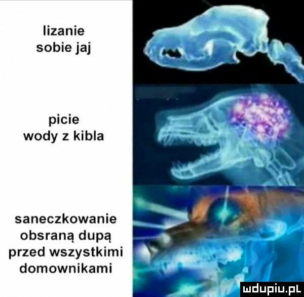 lizanie sobie jaj picie wody z kibla saneczkowanie obsraną dupą przed wszystkimi domownikami