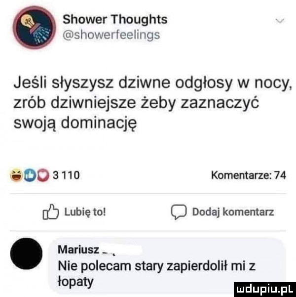 shower thoughts showerieelings jeśli słyszysz dziwne odgłosy w nocy zrób dziwniejsze żeby zaznaczyć swoją dominację abo       komentarze    db lubię to dodaj komentarz. mariusz nie polecam stary zapierdolił mi z łopaty ludu iu. l