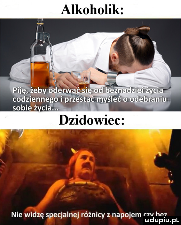 alkoholik dzikowiec nie widzę specjalnej różnicy z napojem      am