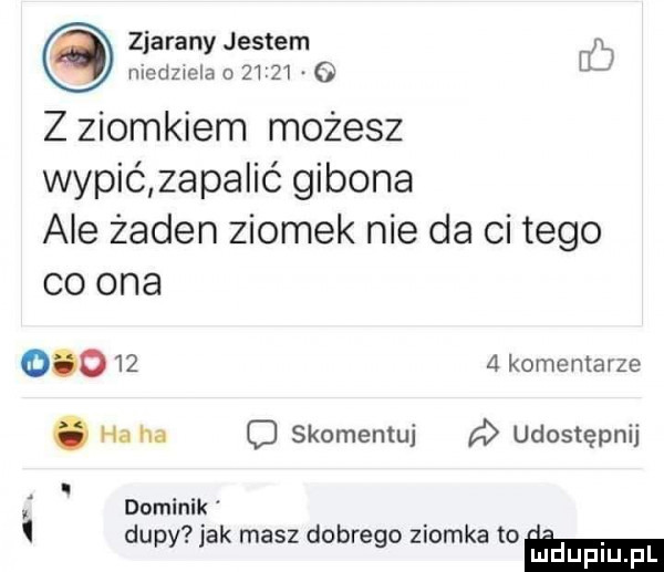 zjarany jestem niedziela o         db z ziomkiem możesz wypió zapalić gibona ale żaden ziomek nie da ci tego co ona         komentarze. ha ha o skomentuj a udostępnij a. dominik dupy jak masz dobrego ziomka loam