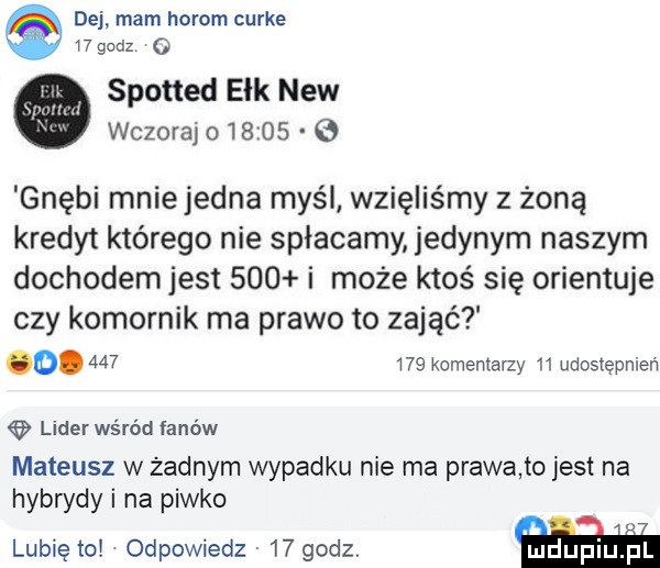 dej mam herom curie    godz   spotted elk naw wczorajo       gnębi mnie jedna myśl wzięliśmy z żoną kredyt którego nie spłacamy jedynym naszym dochodem jest     i może ktoś się orientuje czy komornik ma prawo to zajęć o.         komentarzy    udoslepmeﬁ lear wśród fanów mateusz w żadnym wypadku nie ma prawa to jest na hybrydy i na piwko i. lubię to odpowiedz    godz