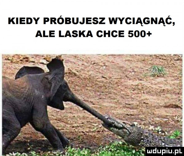 kiedy próbujesz wyciągnąó ale laska che