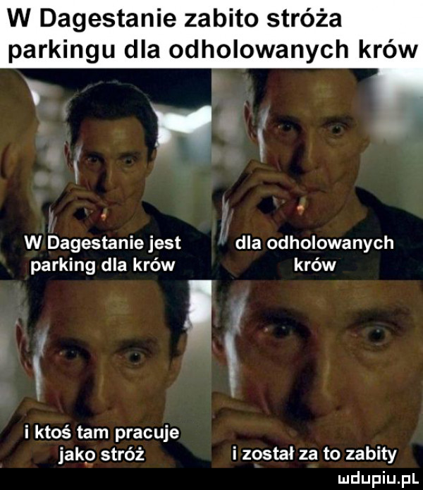 w dagestanie zabito stróża parkingu dla odholowanych krów w dagestanie jest dla odholowanych parking dla krów krów l i ktoś tam pracuje jako stróż i został za to zabity