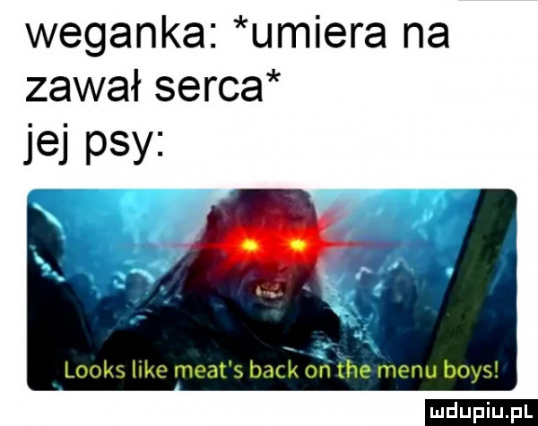 weganka umiera na zawał serca jej psy ludu iu. l