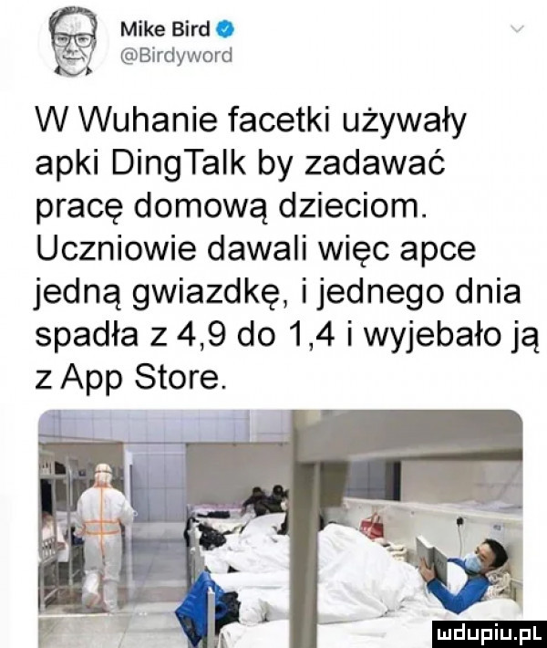 mike bird birdyword w wuhanie facetki używały apki dingtaik by zadawać pracę domową dzieciom. uczniowie dawali więc apce jedną gwiazdkę ijednego dnia spadła       do     i wyjebało ją   aap store. ludu iu. l