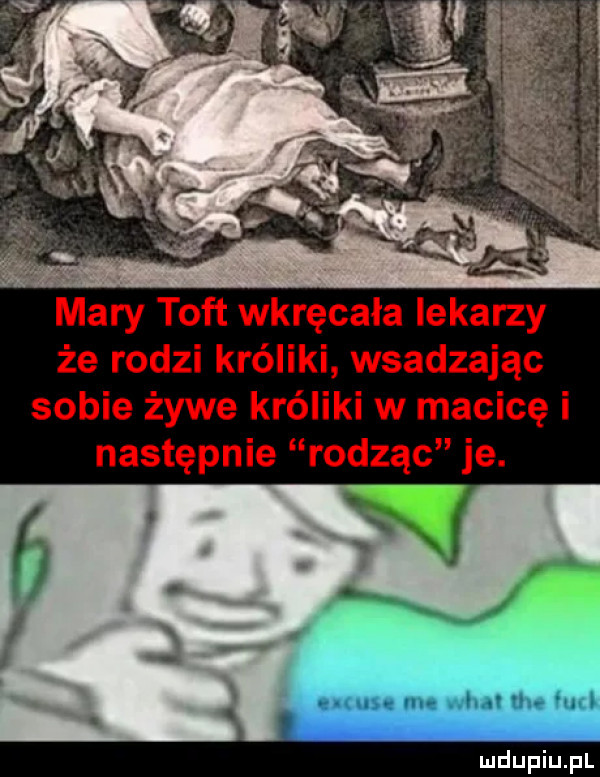 mary taft wkręcała lekarzy że rodzi króliki wsadzając sobie żywe króliki w macicę i następnie rodząc je. f