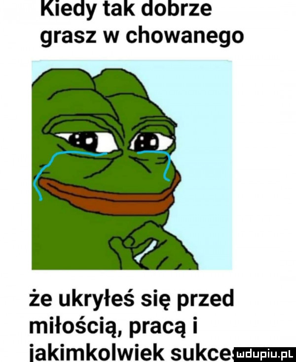 kiedy tak dobrze grasz w chowanego że ukryłeś się przed miłością pracą i iakimkolwiek sujce