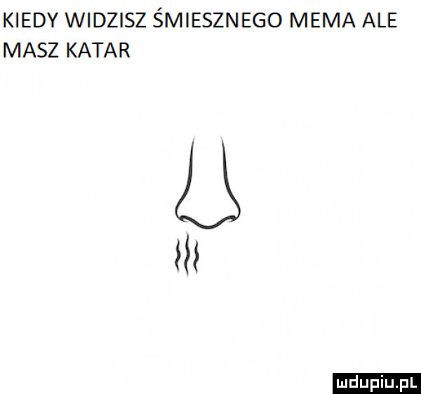 kiedy widzisz śmiesznego mema ale masz katar n ludu iu. l