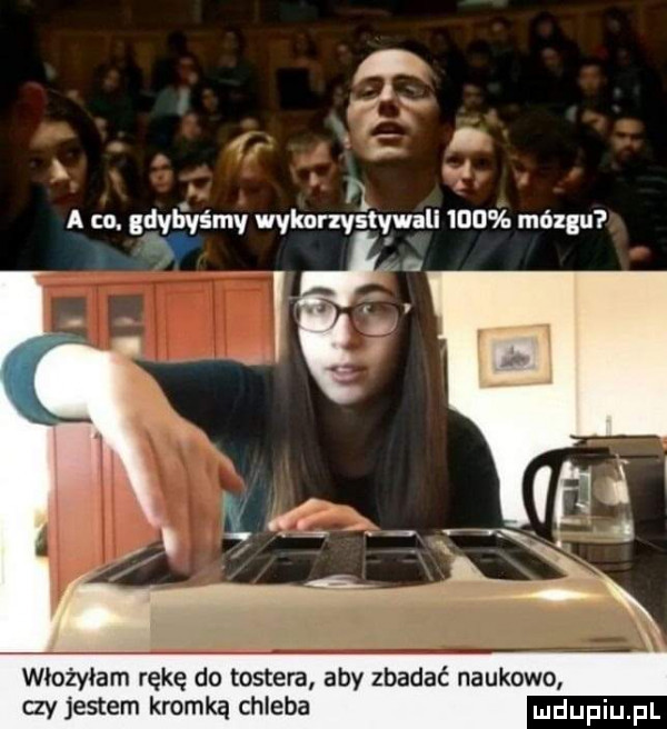 f. a co. gdyńlśmv whnvs tlw ll     mózgu x. włożyłam rękę do tostera aby zbadać naukowo czy jestem kromką chleba dupqul