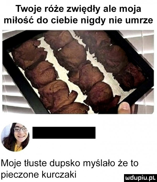 twoje róże zwiędły ale moja miłość do ciebie nigdy nie umrze moje tłuste dupsko myślało że to pieczone kurczaki