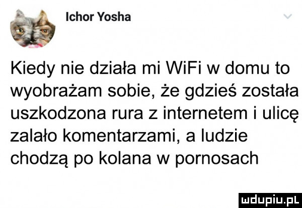 lg ichoryosha kiedy nie działa mi wifi w domu to wyobrażam sobie że gdzieś została uszkodzona rura z internetem i ulicę zalało komentarzami a ludzie chodzą po kolana w pornosach ludu iu. l