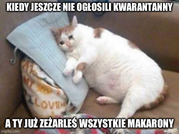 mm limit nie autism multum a lllż rymes wszystkie makarony x m